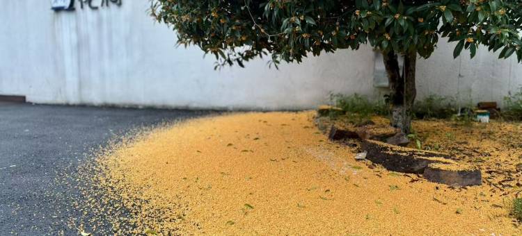 郎溪花涧民宿图片