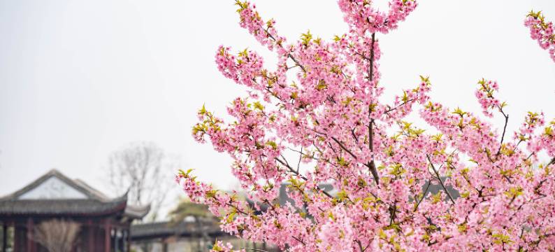 盐城大洋湾颐和湖畔酒店图片