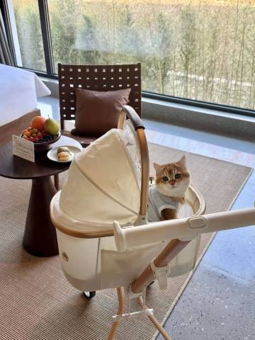 携程度假农庄(日照岚山联营店)图片