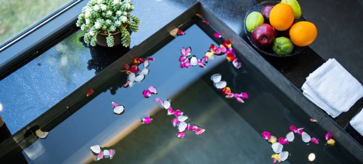 腾冲浅山临湖温泉民宿(东湖公园闫家塘美食城店)图片