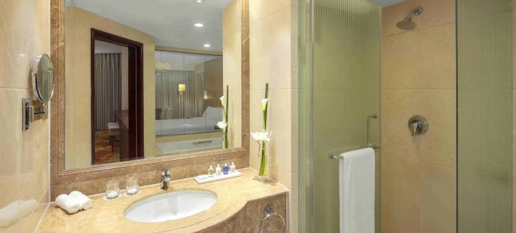 上海新世界丽笙大酒店图片