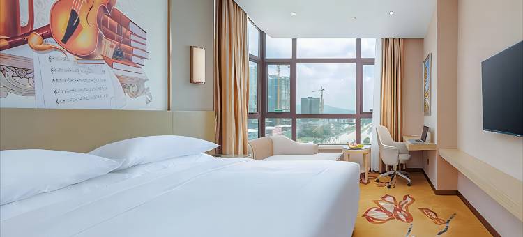 维也纳酒店(龙州店)图片