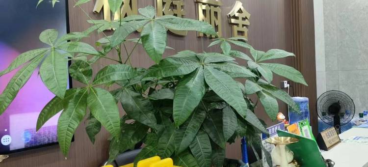 枫庭丽舍(石排利丰城市广场店)图片