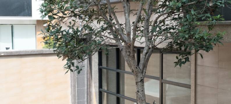 顺德大良二月花园民宿图片