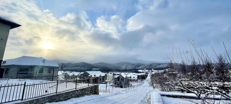 闻雪阁·隐居(亚布力滑雪旅游度假区店) 图片