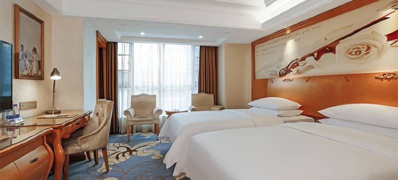 维也纳国际酒店(长沙木莲西路省人社厅店)图片