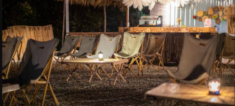 Stellar 金山金马伦(Stellar GoldenHill Cameron)图片