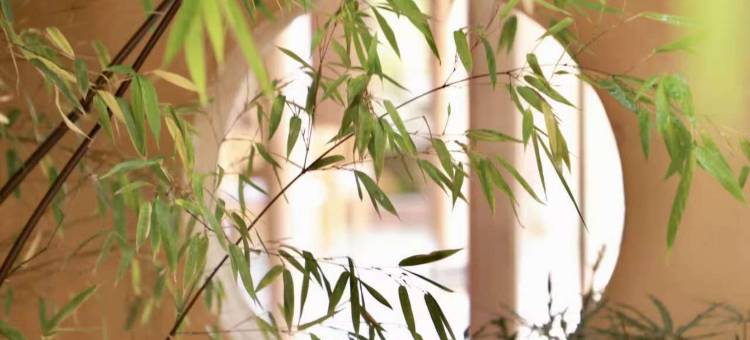 沙溪古镇方合客栈图片