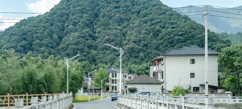 溪隅民宿(桐庐天子地店)图片