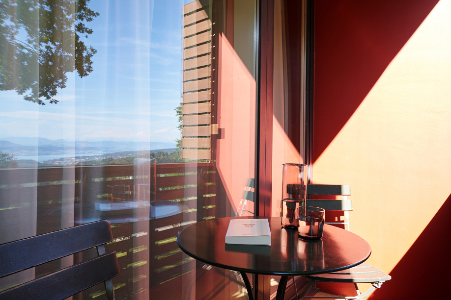 Boutique-Hotel ZurichbergOver view