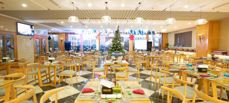 如明广场岘港酒店(Nhu Minh Plaza Danang Hotel)图片