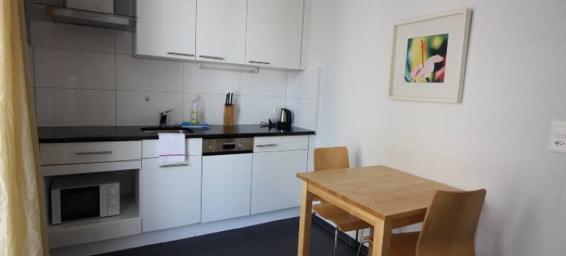 希尔菲德瑞士之星公寓酒店(Swiss Star Zurich Sihlfeld - Self Check-IN)图片