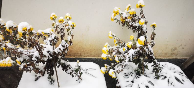 平安客栈(荆紫关镇店)图片