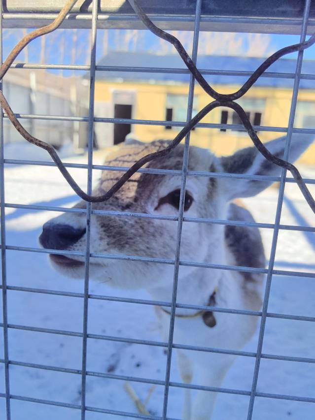 寒酥庄园酒店(亚布力滑雪旅游度假区)图片