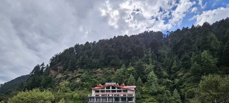 马纳利葡萄山酒店(Vine Hills Manali)图片