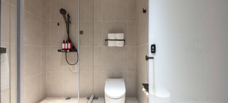 上海人民广场北京东路轻居酒店图片