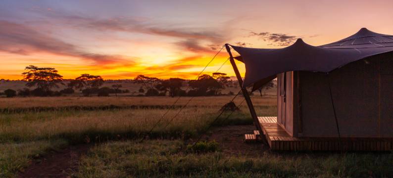 安南塔塞伦盖蒂(Anantya Serengeti)图片