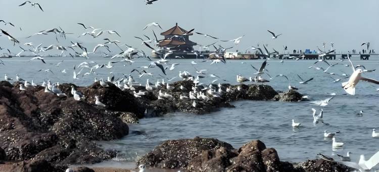 轻雅共享公寓(青岛北站李村地铁站店)图片