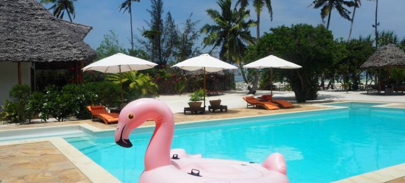 桑给巴尔蒂基坦棕榈精品酒店(Tikitam Palms Boutique Hotel)图片