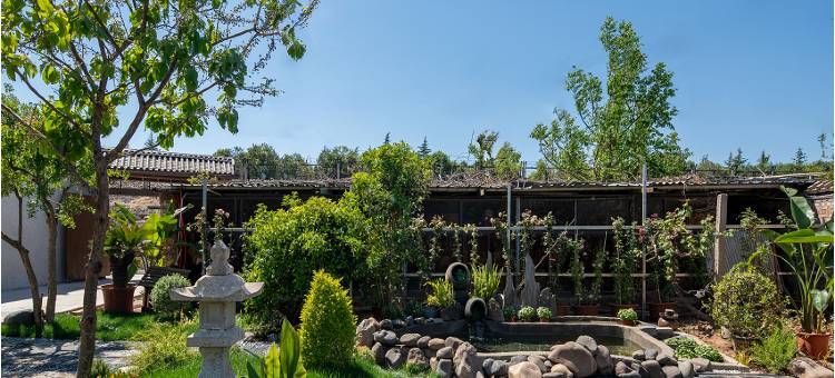 花筑·椿院(龙门石窟景区西北服务区游客中心店)图片