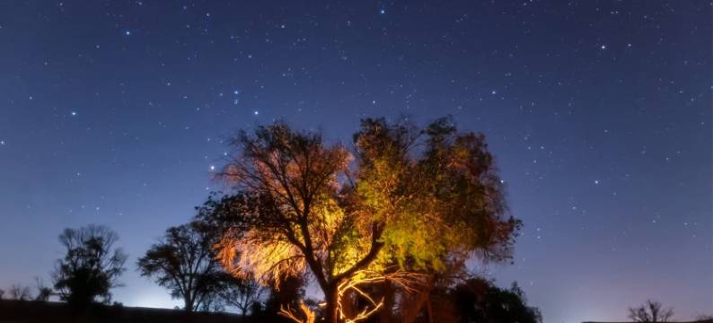 腾格里漠贝星空露营地图片