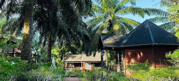 仙本那完美森态度假村 (24小时中文管家+免费镇上/码头接送班车)(Perfect Forest Eco-Resort)图片