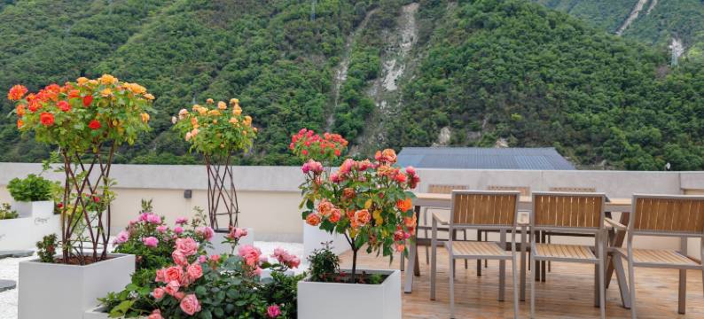 文若贡嘎壹号观景雅院(磨西镇海螺沟冰川森林公园游客中心店)图片