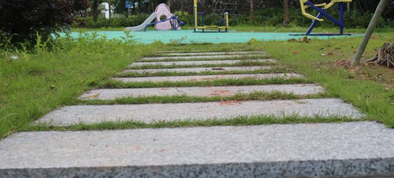 云和伍拾陆号民宿图片