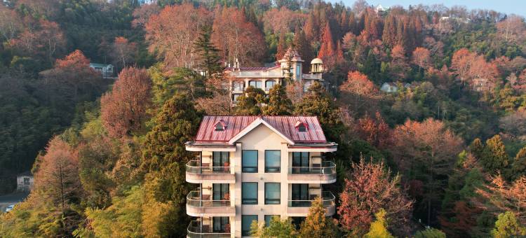 莫干山日出云海·全套房民宿(莫干山景区店)图片