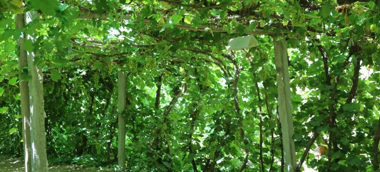 库木纳瓦民宿图片