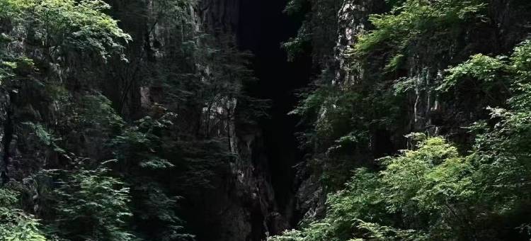 银河庭院图片
