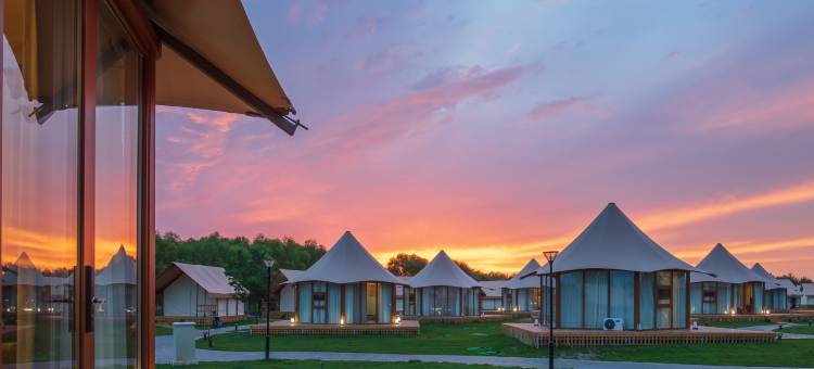 大漠花海酒店图片