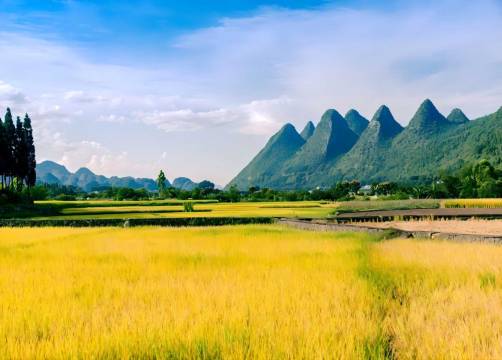 慢此山・息养疗愈空间民宿(万峰林景区将军峰店)图片