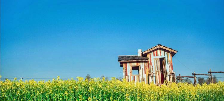 安吉尧珈·山禾稻度假酒店图片