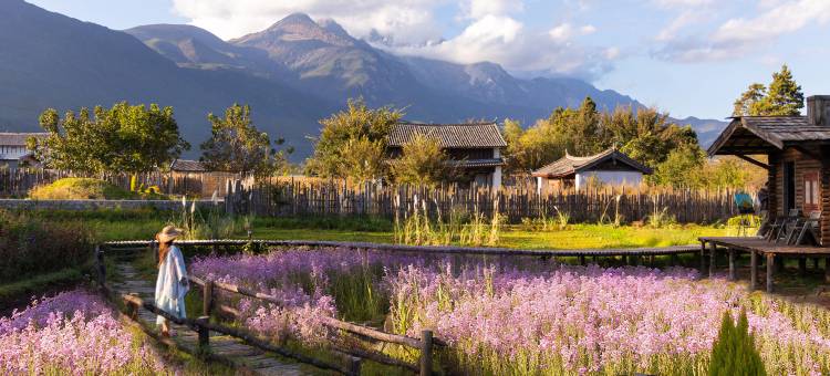 椿山雪・日照金山・田园牧场度假酒店Mountain Spring(白沙古镇店)图片