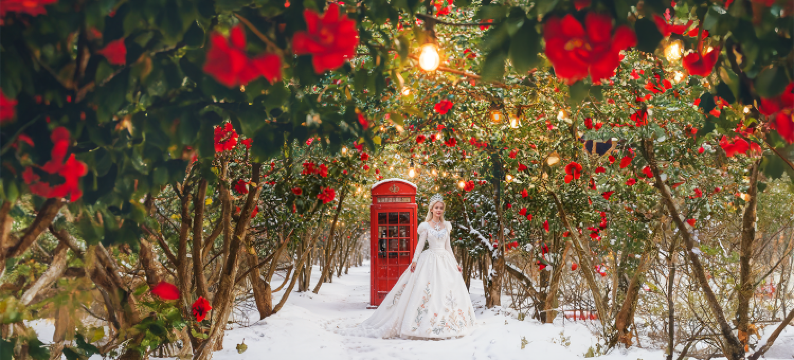 生态乐园酒店(Ecoland Hotel)图片