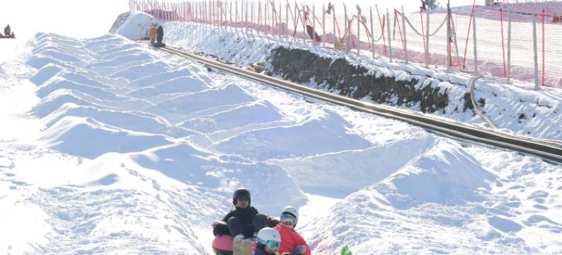 HiMaMa亲子牧场图片