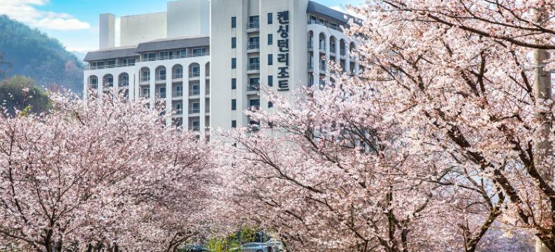 智异山河东肯辛顿度假村(KensingtonResort JirisanHadong)图片