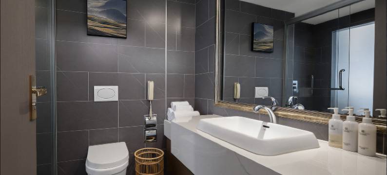 美丽豪酒店(西安大唐不夜城观赏点万象城店)图片