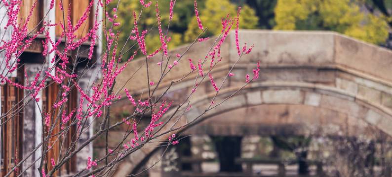 濮院时尚古镇蚬子滩客栈图片