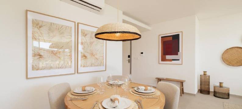 Flamingos Salgados图片