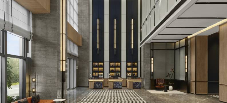 合肥高新福朋喜来登酒店图片