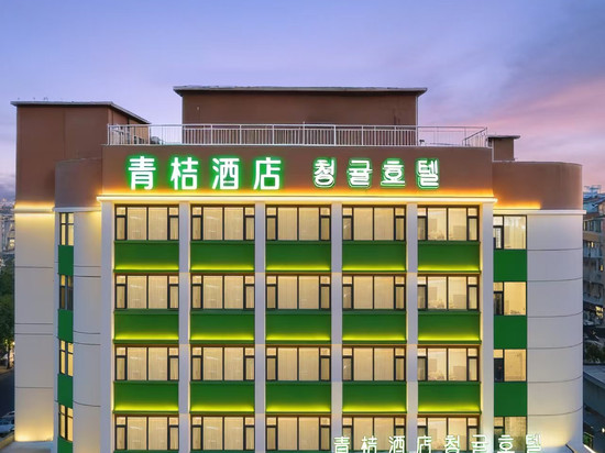 青桔·设计师酒店(延吉延边大学网红墙西市场店)