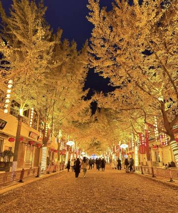 柏霖艾菲酒店(天水市政府中心广场店)图片