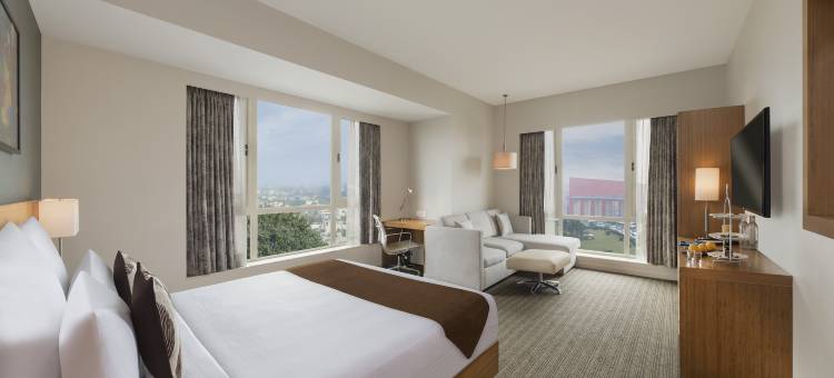 勒克瑙格姆提纳加诺富特酒店(Novotel Lucknow Gomti Nagar)图片