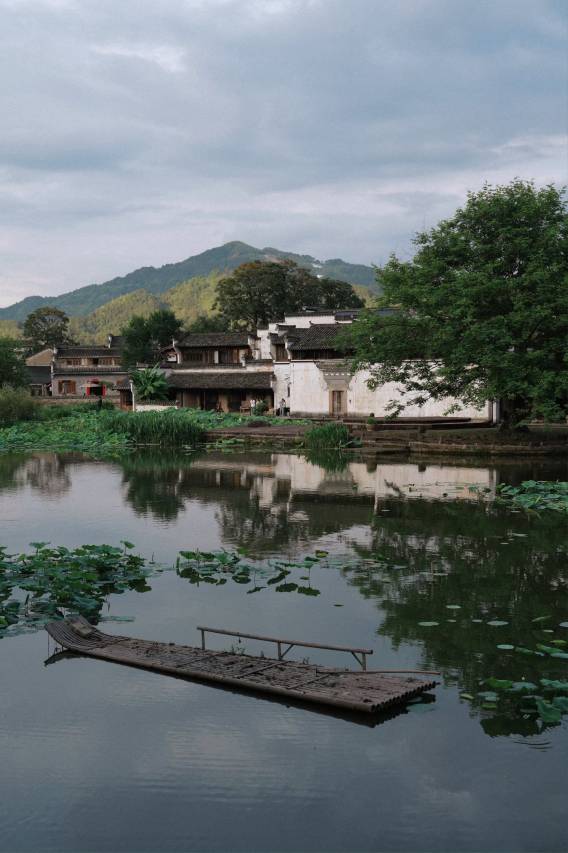 黄山澍德堂图片