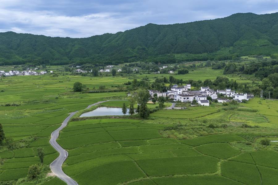 黃山澍德堂•黟縣交叉小徑的花園