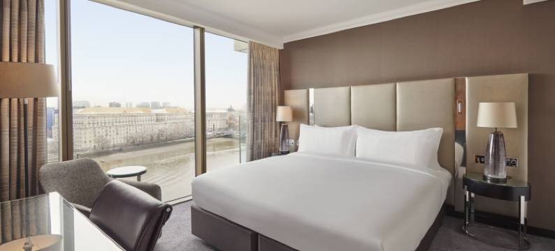 伦敦亚伯特堤岸凯悦酒店(Hyatt Regency London Albert Embankment)图片