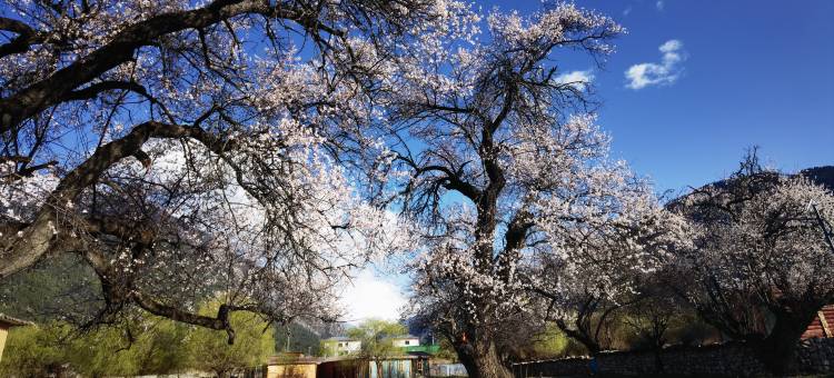 依云若雅民宿(林芝米林机场店)图片
