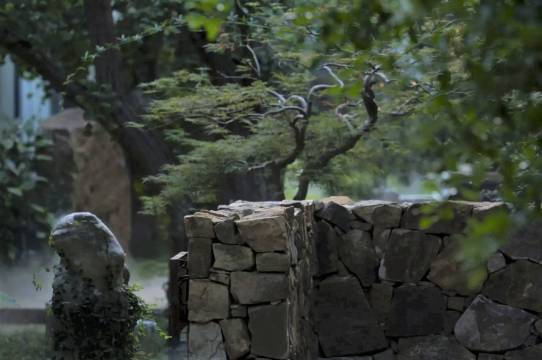 苏州瑞相院·银杏园林美墅(太湖东山店)图片